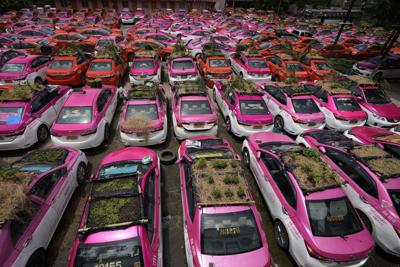Taxis con minijardines en sus techos estacionados en un garaje de Bangkok el 16 de septiembre del 2021. (AP Photo/Sakchai Lalit)