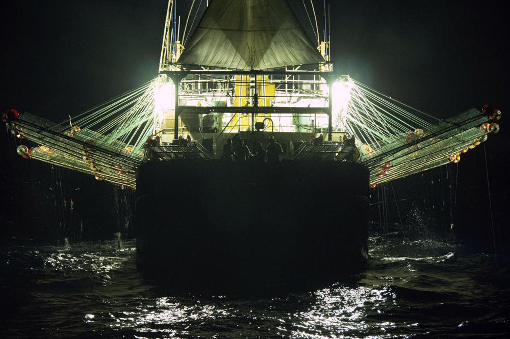 In this July 2021 photo provided by Sea Shepherd, a Chinese-flagged ship fishes for squid at night on the high seas off the west coast of South America. The number of Chinese-flagged vessels in the south Pacific has surged 10-fold from 54 active vessels in 2009 to 557 in 2020, according to the South Pacific Regional Fisheries Management Organization, or SPRFMO, an inter-governmental group of 15 members charged with ensuring the conservation and sustainable fishing of the species. Meanwhile, the size of its catch has grown from 70,000 tons in 2009 to 358,000. (Isaac Haslam/Sea Shepherd via AP)