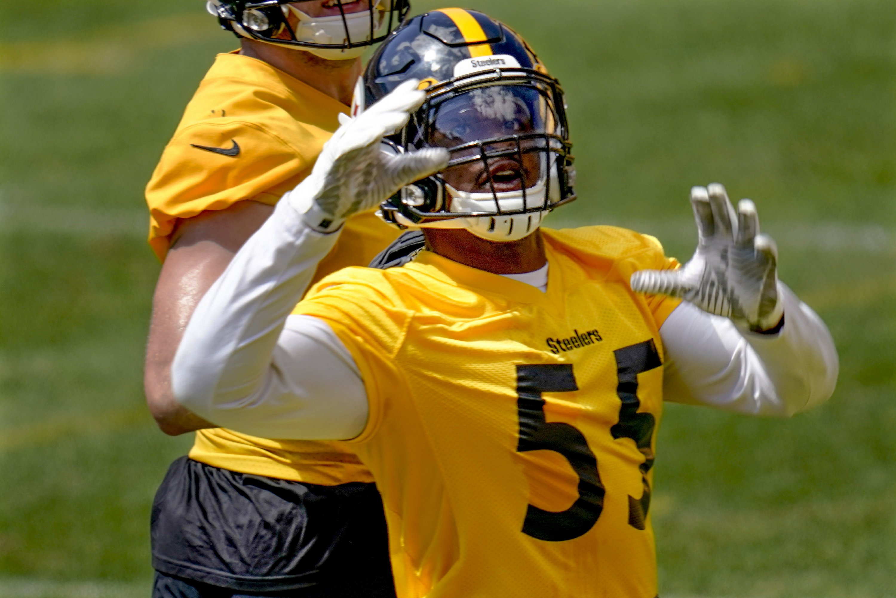 Brain Games Steelers Want Lb Bush To Take Mental Leap