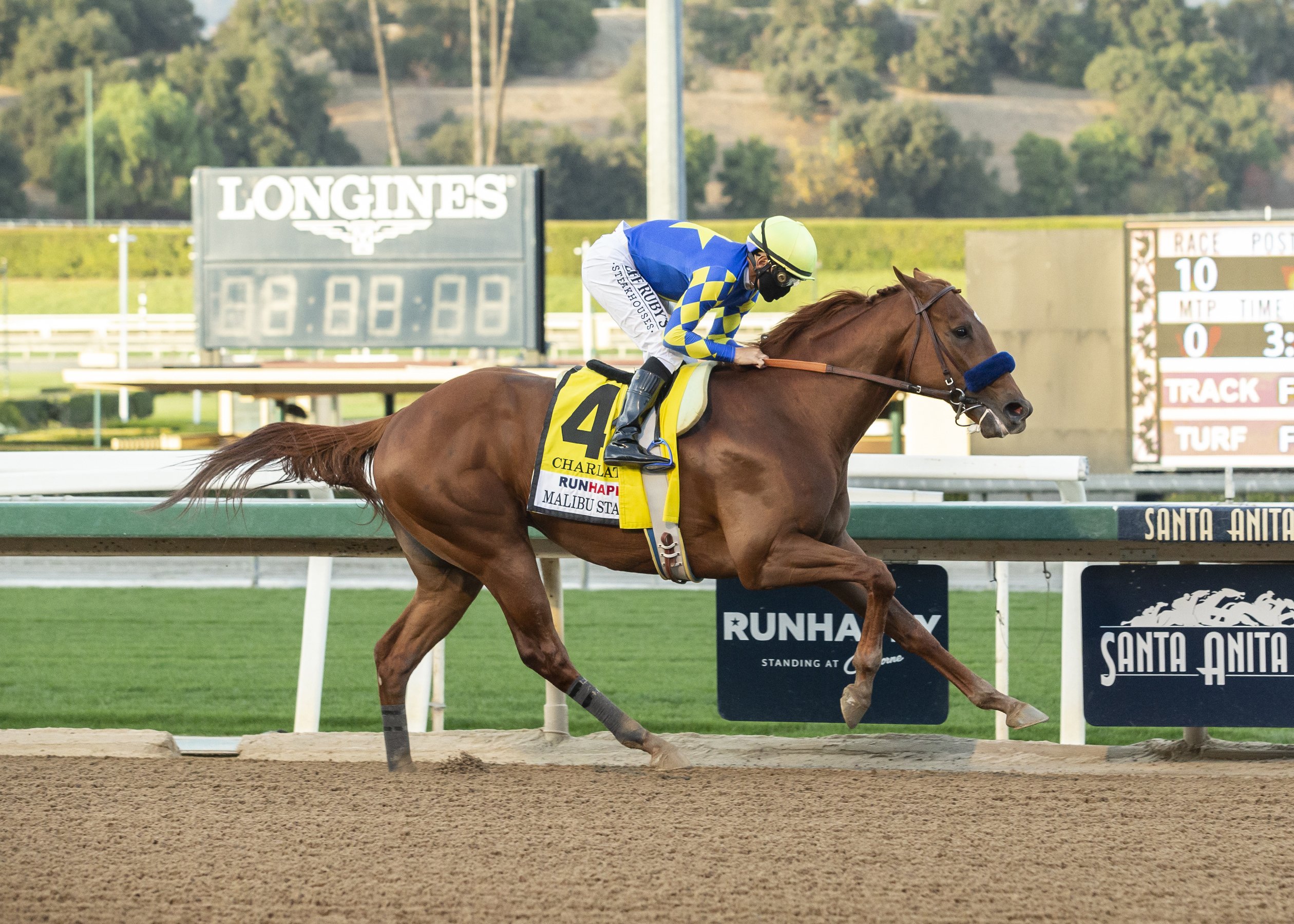 Mucho Gusto invited back to defend Pegasus World Cup title - Vimarsana News