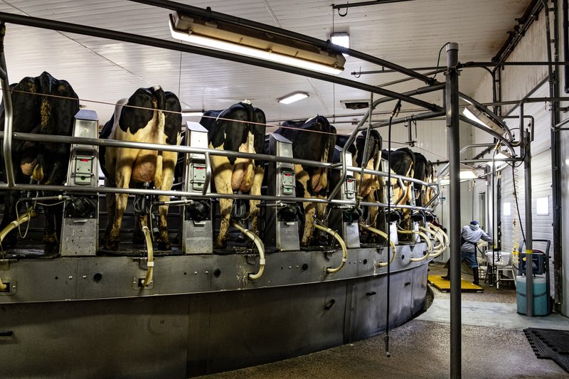 A Minnesota Robotic Dairy Survives Amid Trade War