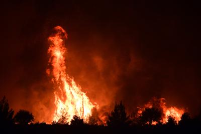 Llamas queman un bosque cerca de la localidad de Galatsona, en la isla de Evia, a unos 188 kms (117 millas) al norte de Atenas, Grecia, el 9 de agosto de 2021. (AP Foto/Michael Varaklas)