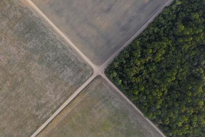 ARCHIVO - La foto de archivo del 30 de noviembre de 2019 muestra un fragmento de selva amazónica junto a campos de soya en Belterra, estado de Para, Brasil. El presidente Jair Bolsonaro decretó el 28 de junio de 2021 el envío de soldados a la Amazonía para contener la deforestación. (AP Foto/Leo Correa, File)