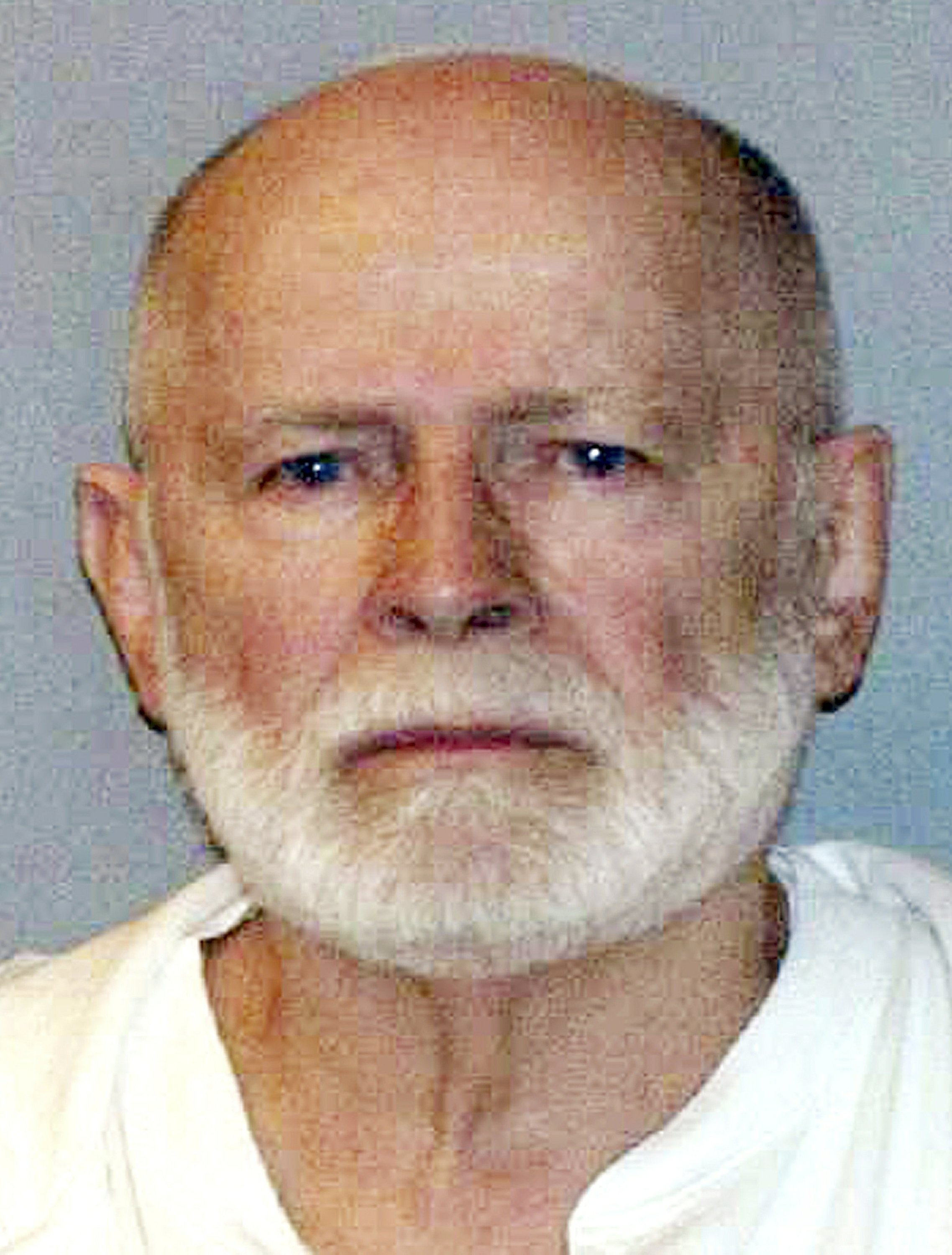 West Virginia Jail Mugshots - dhi2gtl