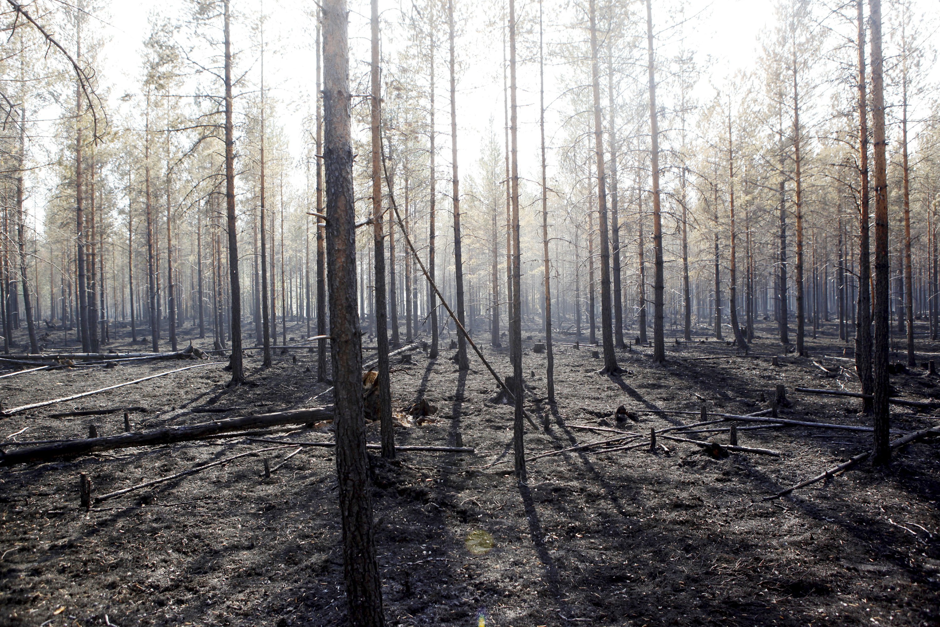 Sweden says wildfires remain serious threat | AP News