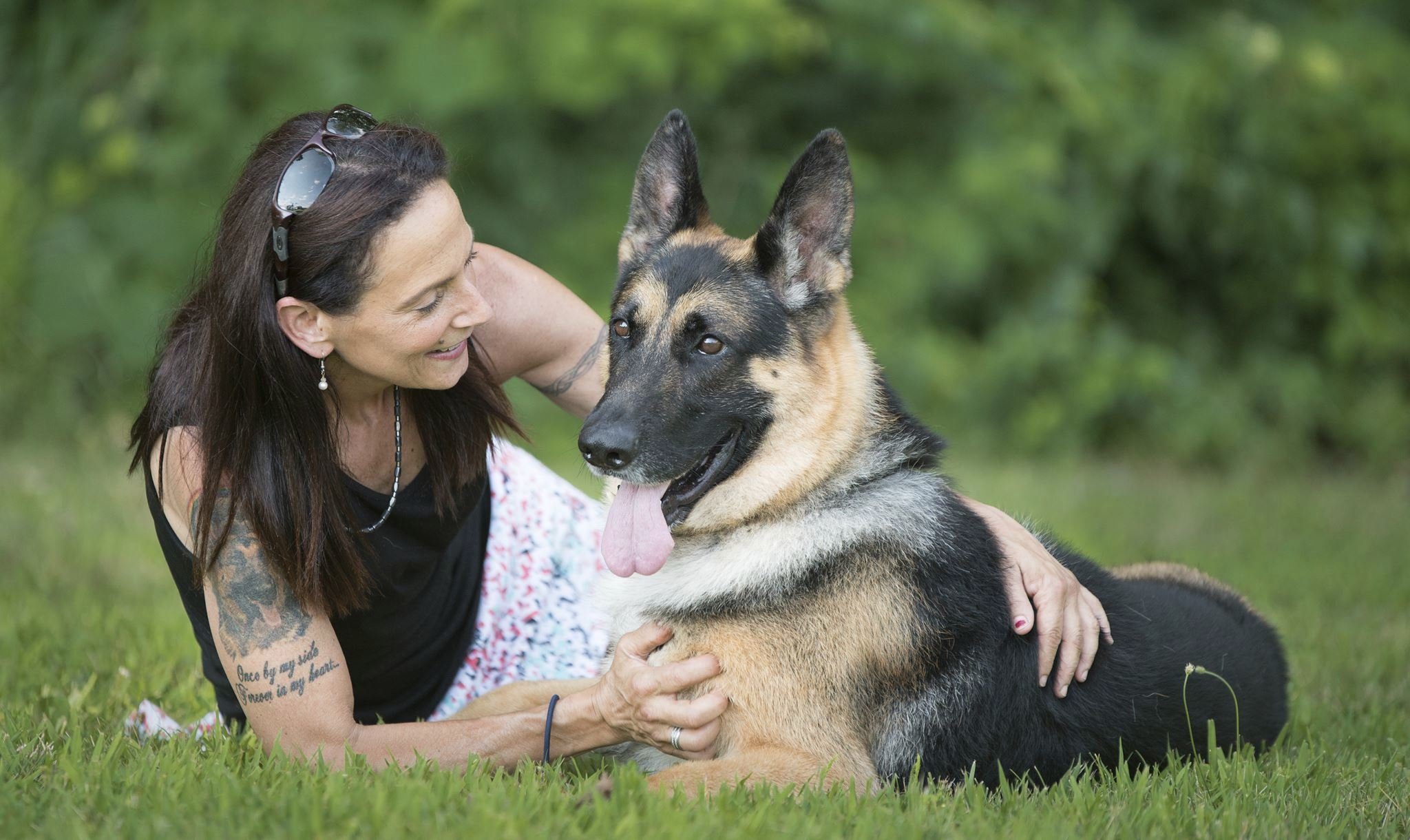 45+ German Shepherd