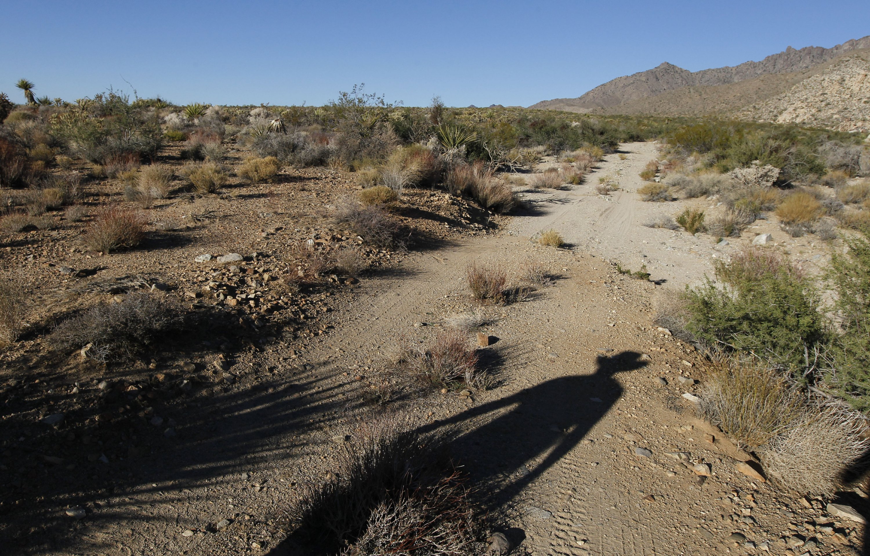 Desert cross 1000 3. Mojave Crossing. Mojave Crossing lamoure. Calico Mojave Desert Lous leaky