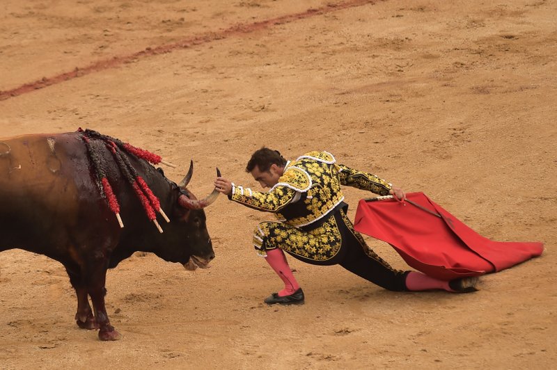 an overview of the history of bullfighting in spain Provides an overview of spain spain country profile spain's history and culture are made up of a rich mix of diverse elements. an overview of the history of bullfighting in spain Provides an overview of spain spain country profile spain's history and culture are made up of a rich mix of diverse elements.