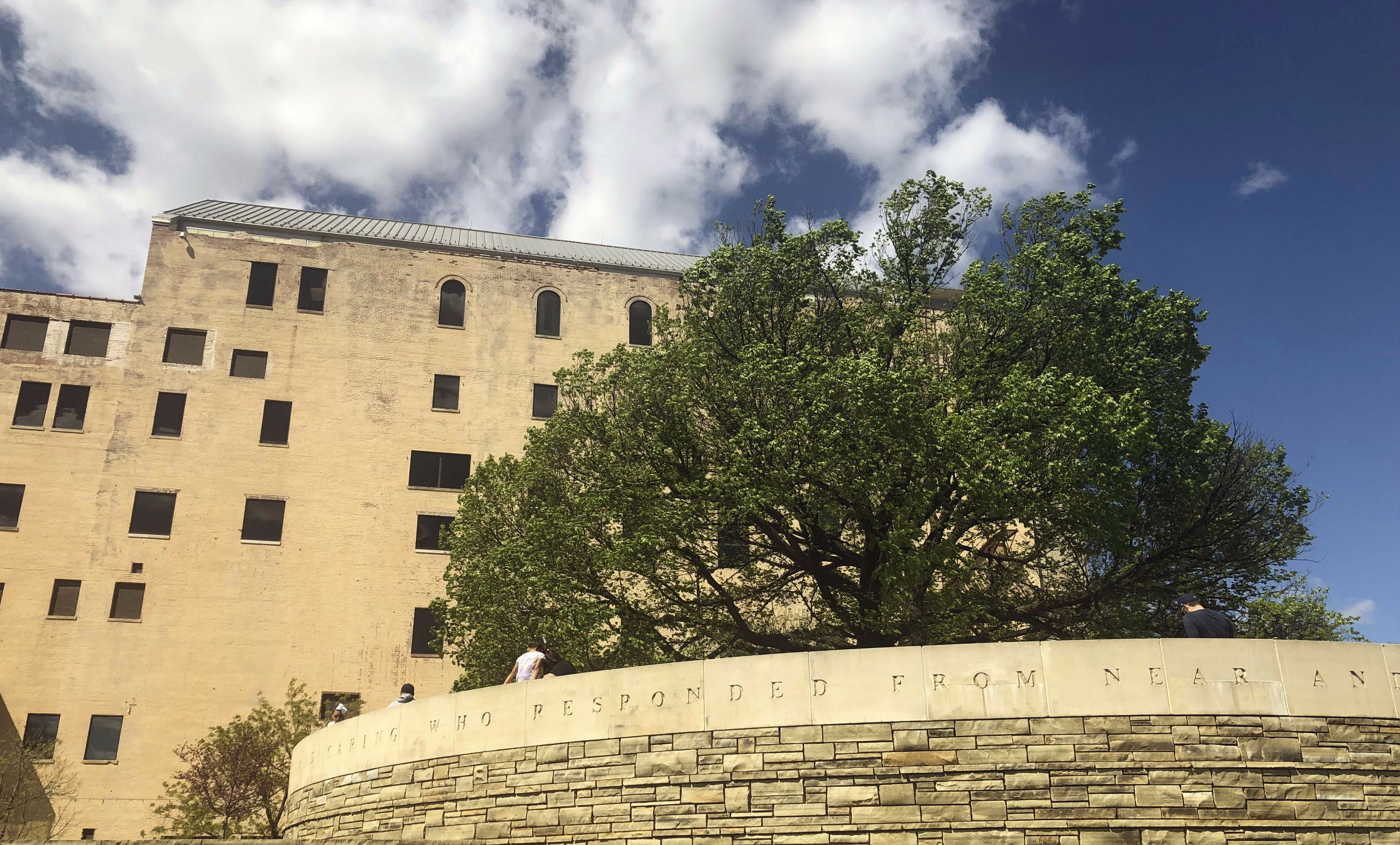Oklahoma City Ing Survivor Tree Dna To Live On Oklahoma City Ing Survivor Tree