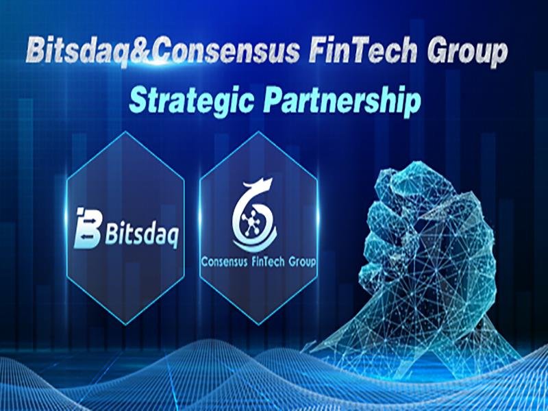 bitsdaq cryptocurrency exchange sign up bitsdaq cryptocurrency exchange sign up