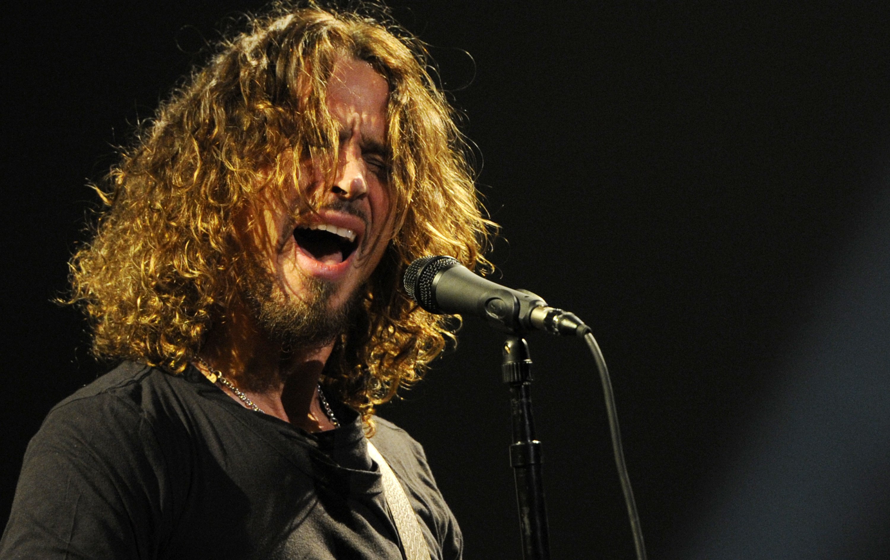 Chris cornell. Chris Cornell Soundgarden. Audioslave вокалист.