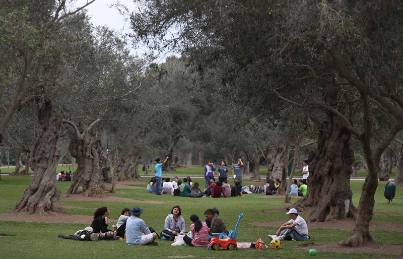 Picnic en San Isidro