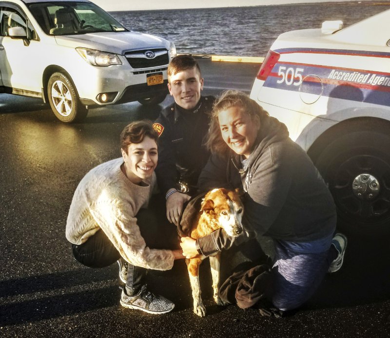 Passers By Police Rescue Dog From Water Off Long Island