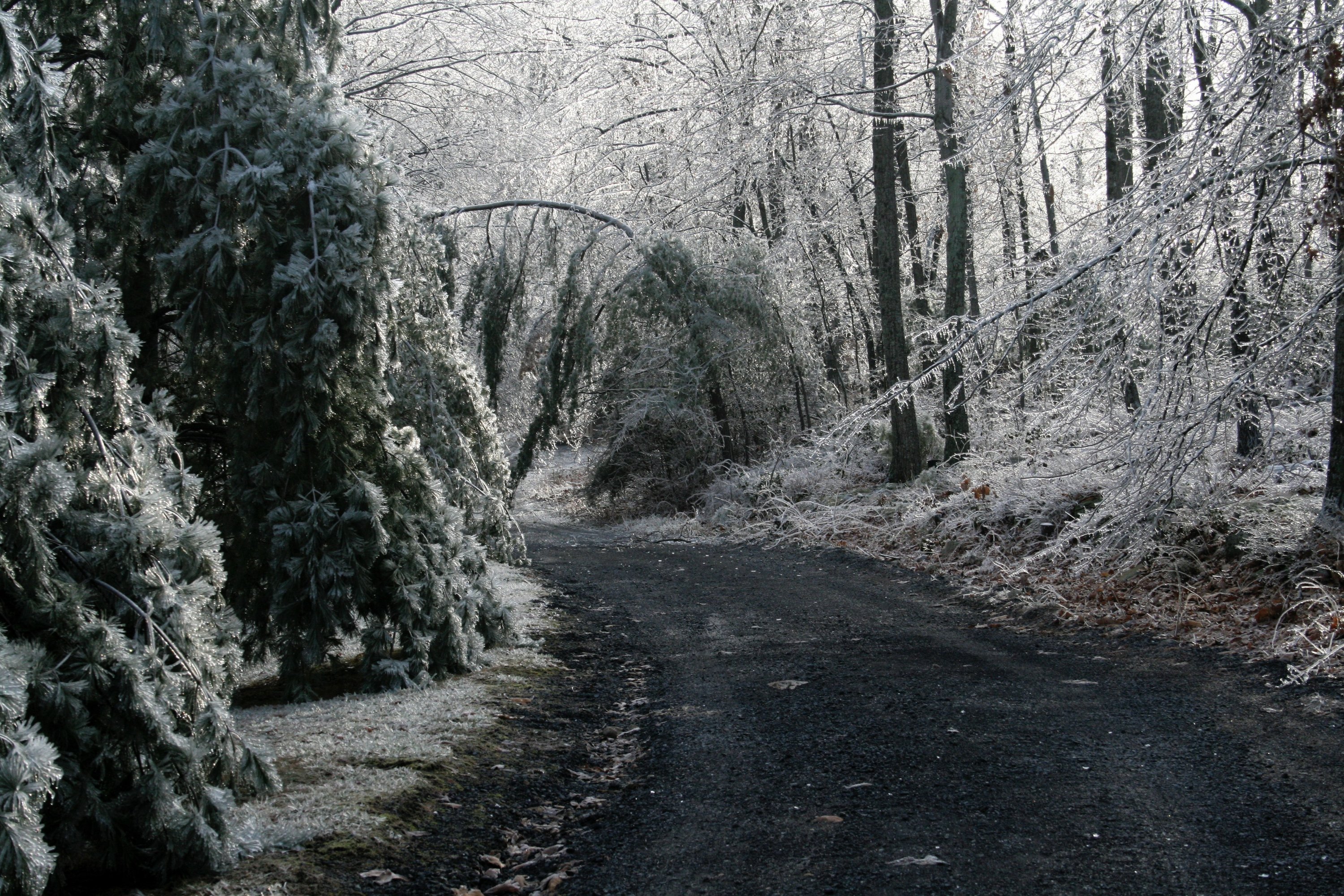 Err on the side of caution when the refrigerator loses power AP News
