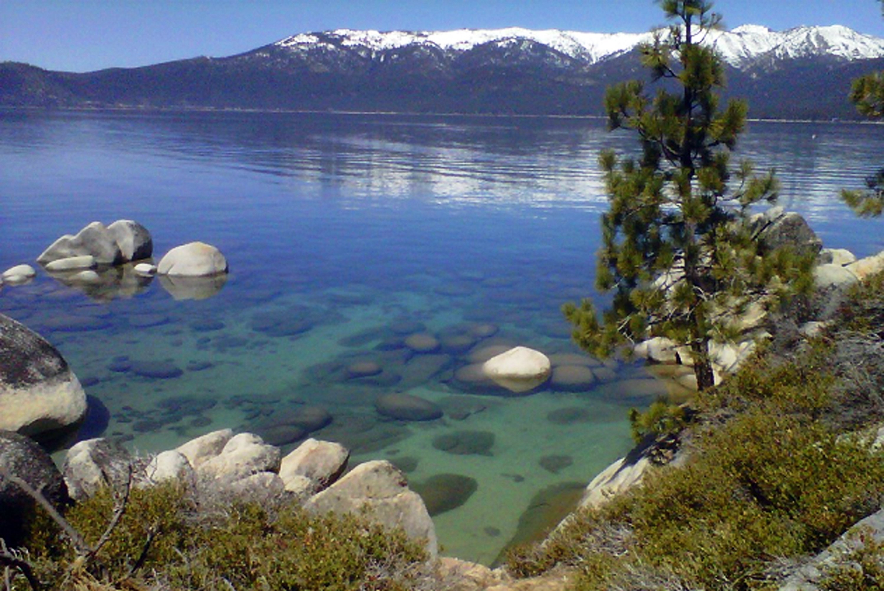 Lake tahoe s famed water gets clearer after all time low