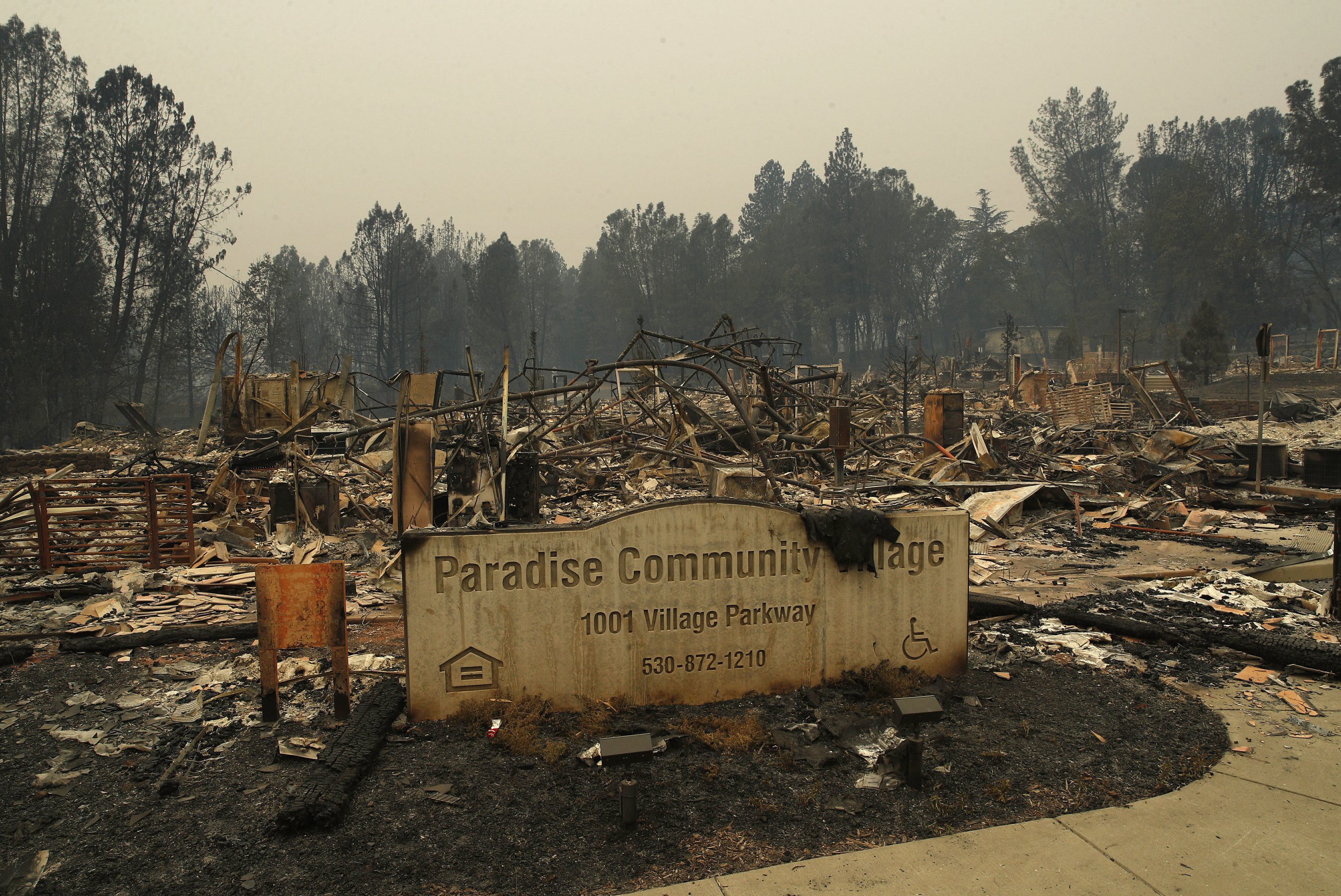 Paradise is reduced to ash, but memories survive the flames AP News