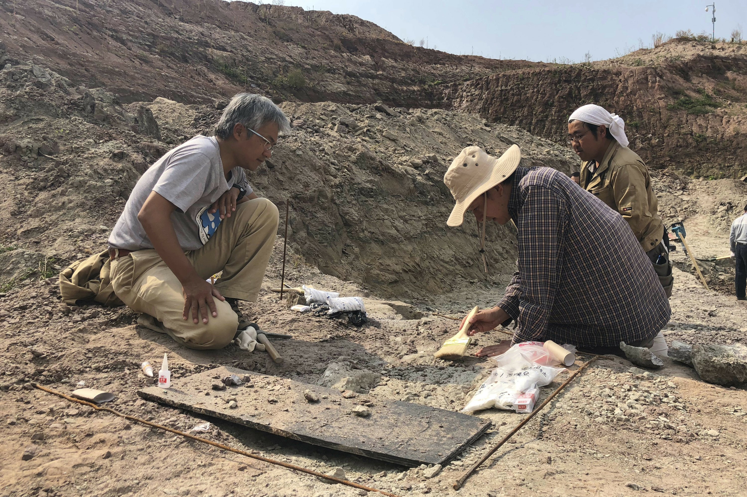 dino dig site