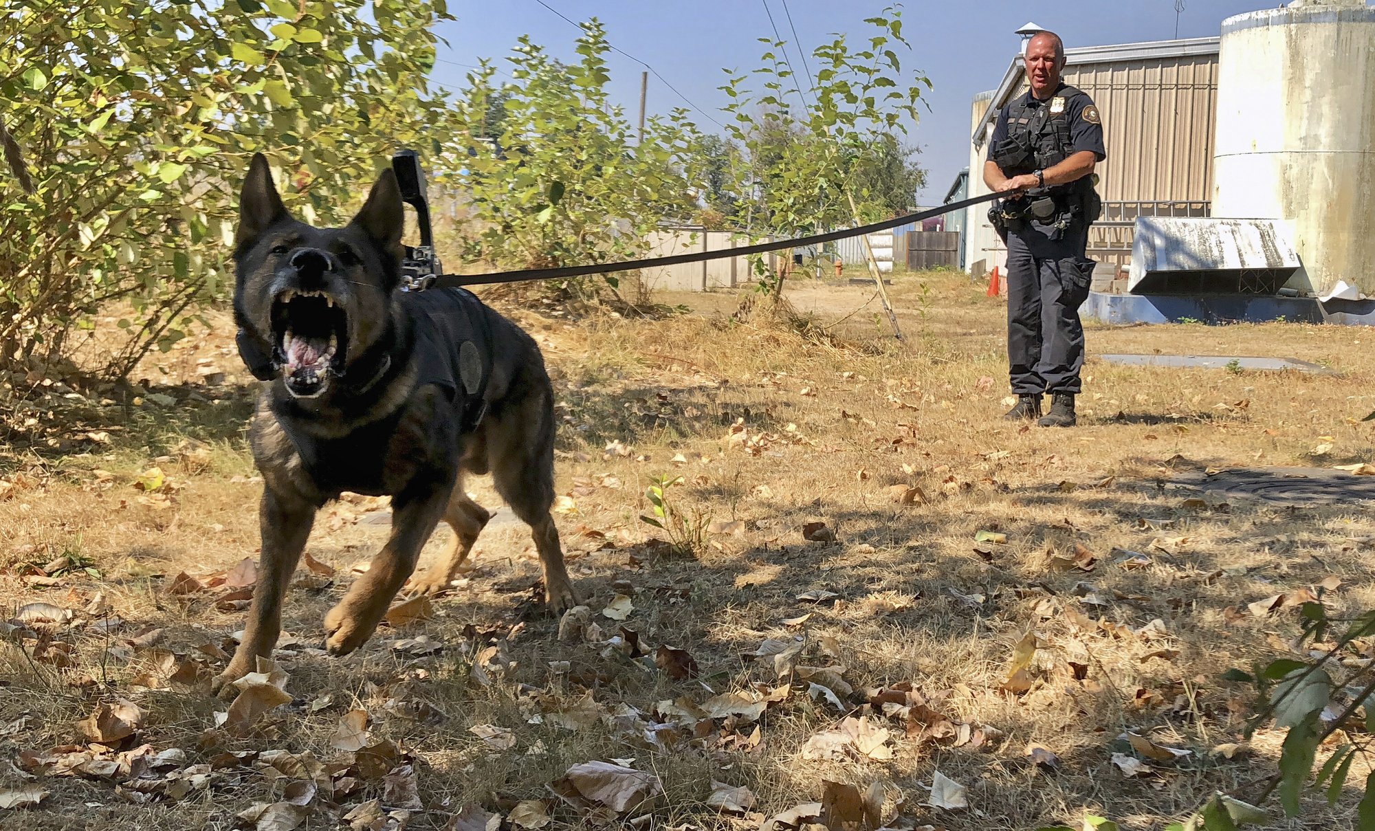 european police dog