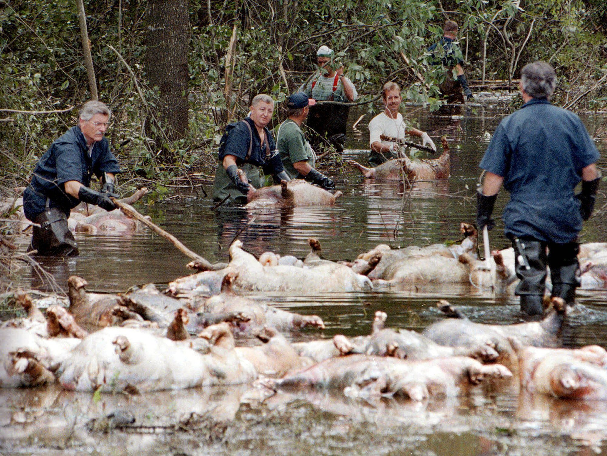 What if the neighbors flooded What if the neighbors flooded