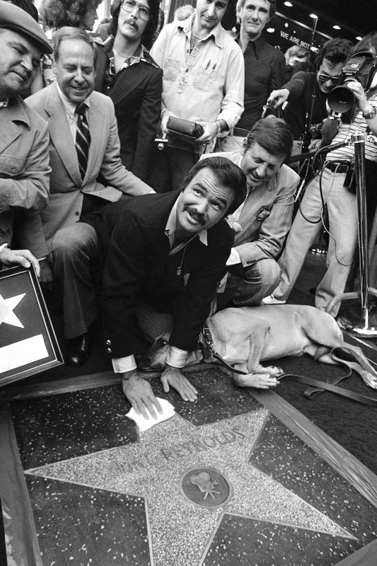 Image result for burt reynolds