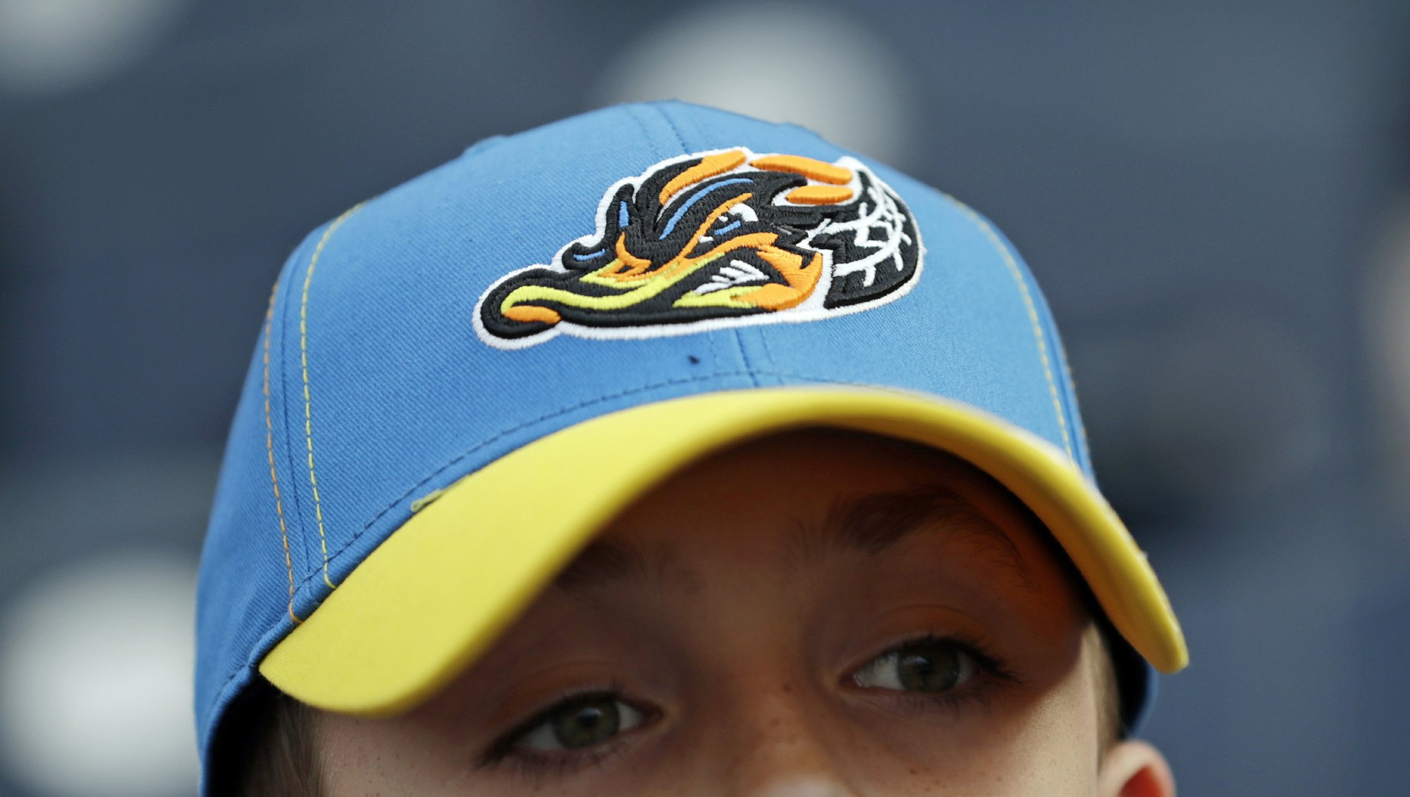 ironpigs cheesesteak hat