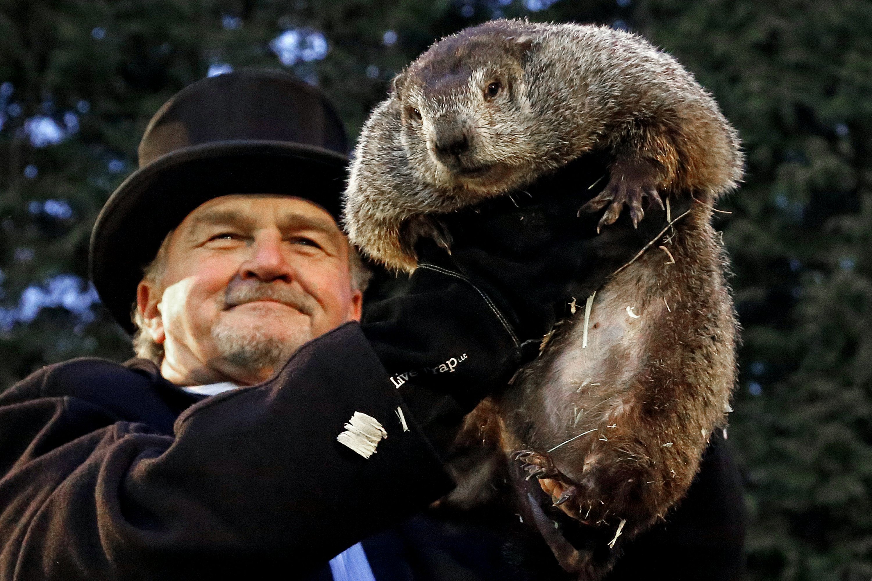 Pennsylvania groundhog's handlers Phil predicts more winter AP News