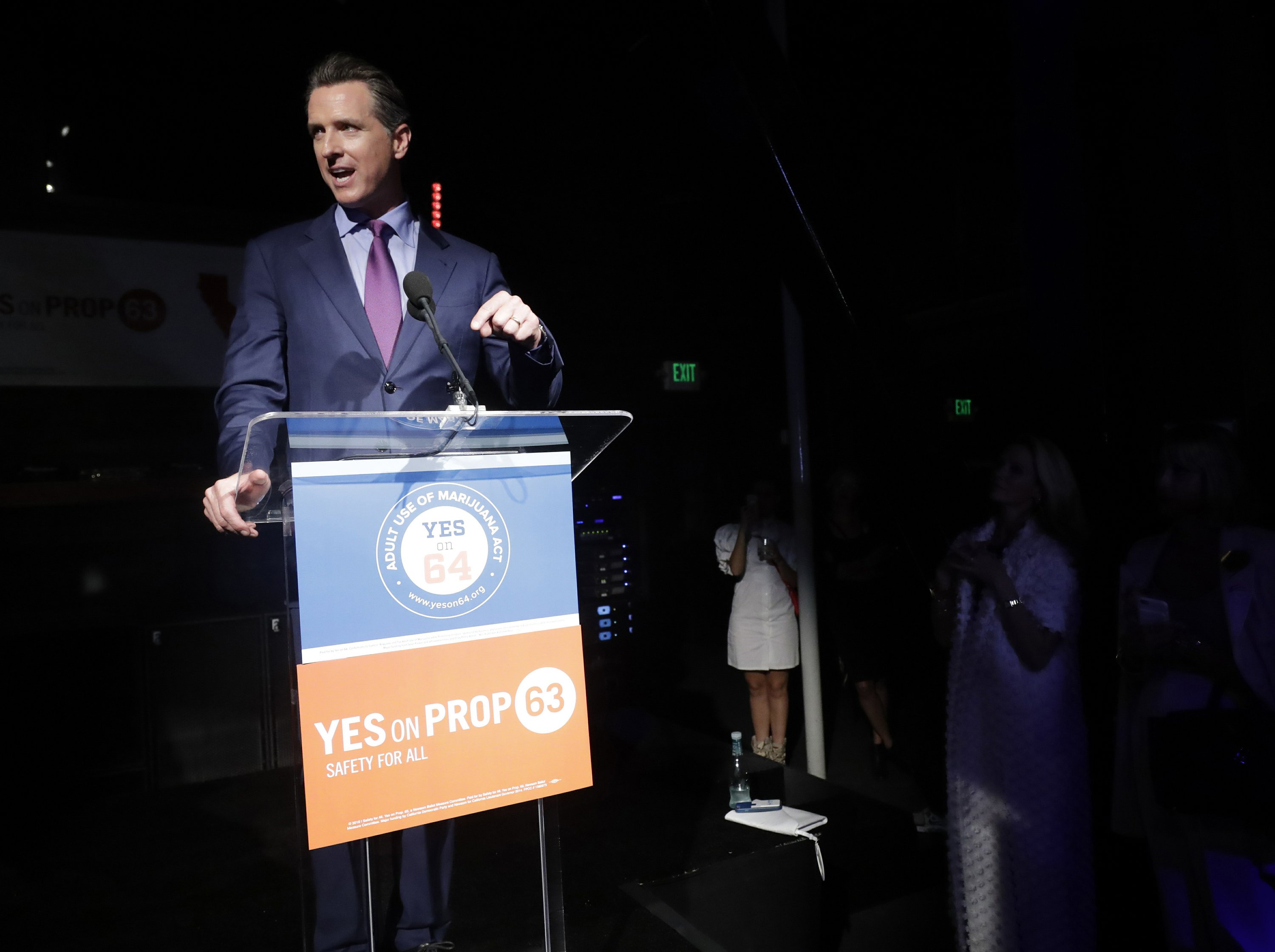 Marijuana, gun control, minimum wage hikes win at the polls