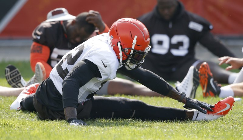 Browns 2013 Depth Chart