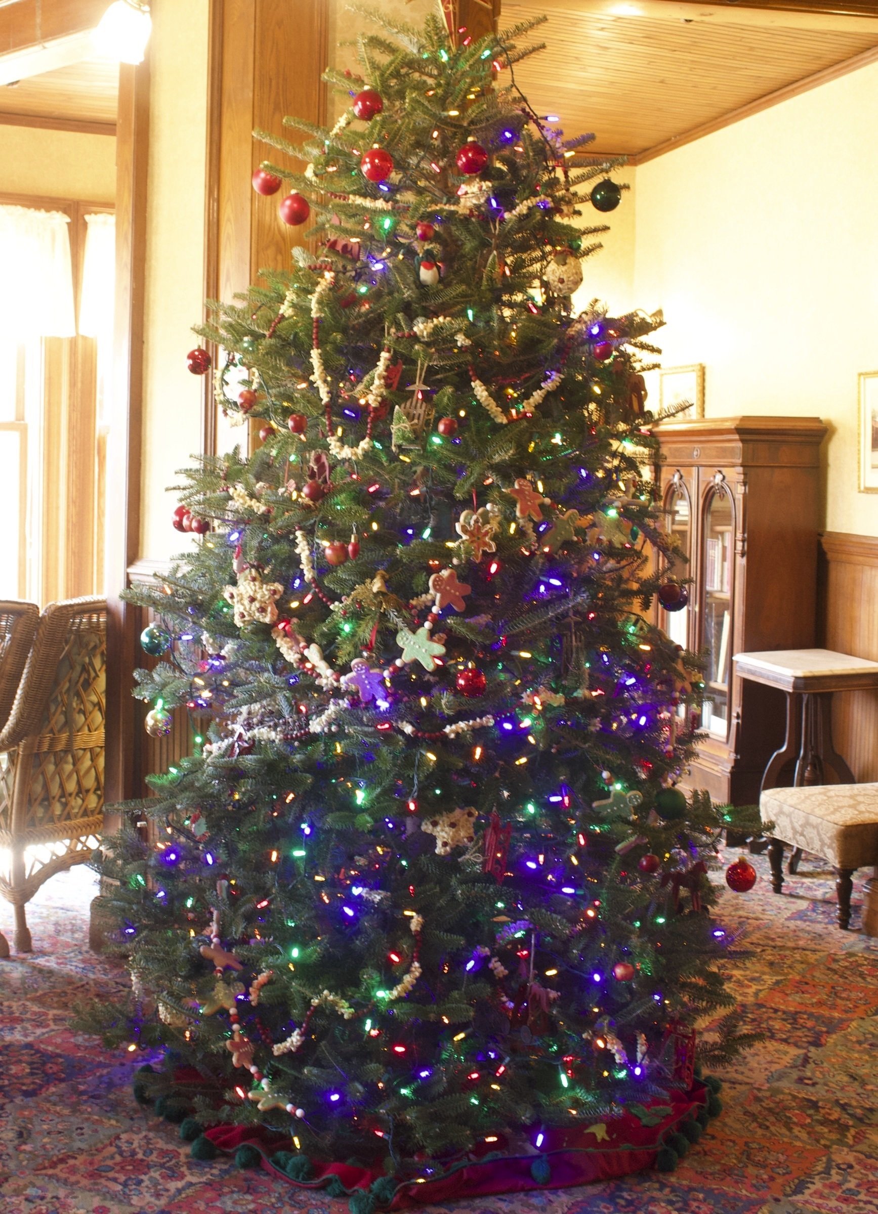 Christmas Trees And Their Decorations Have Evolved