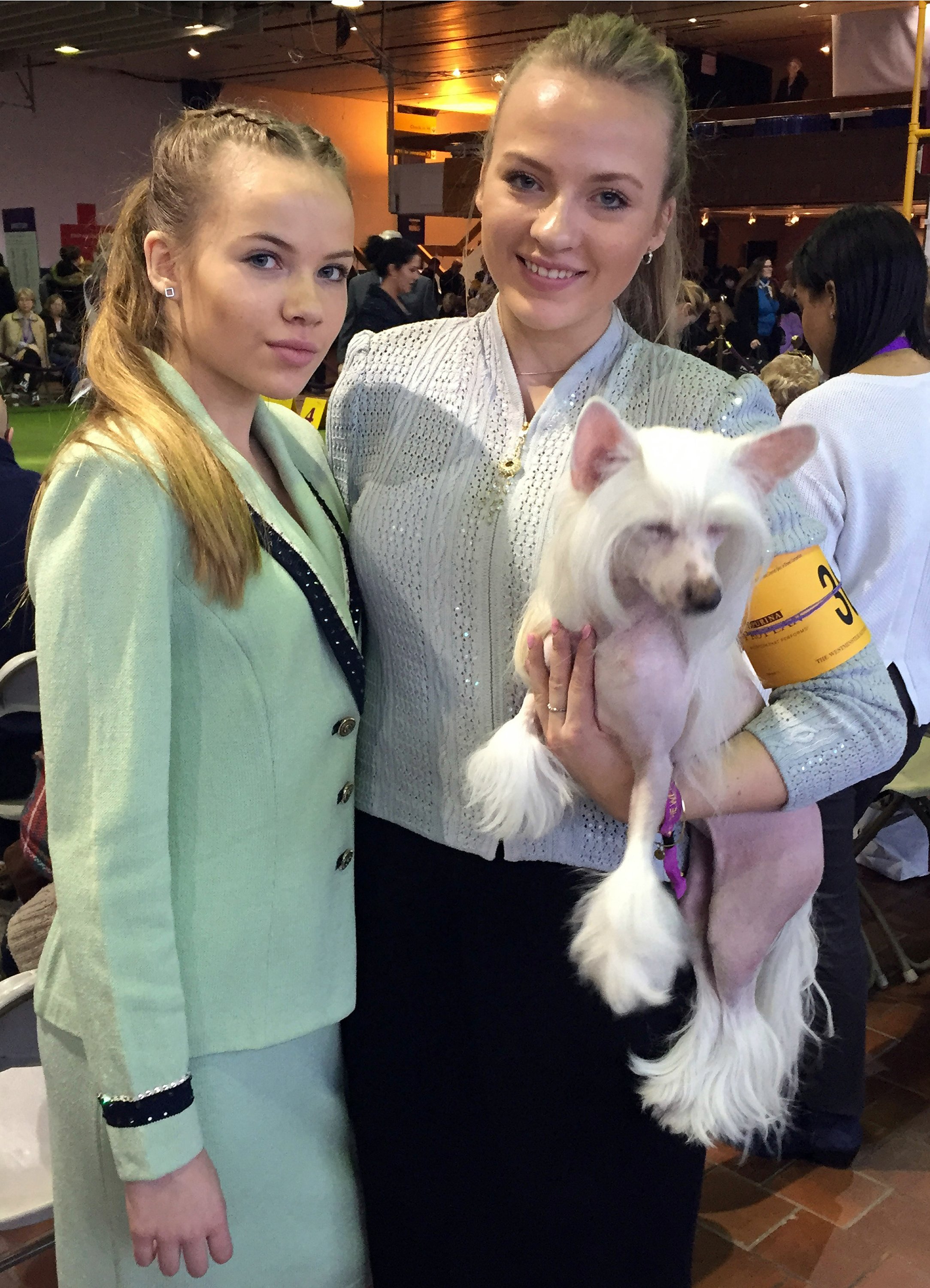 esteban farias dog handler