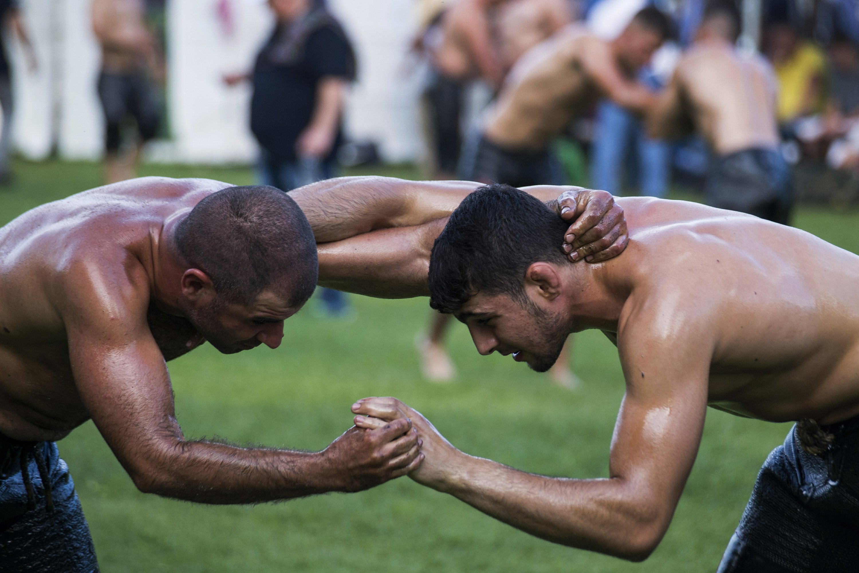 Oil wrestling. Greek Oil Wrestling. Black Oil Wrestling. Ancient Oil Wrestling. Mixed Oil Wrestling.