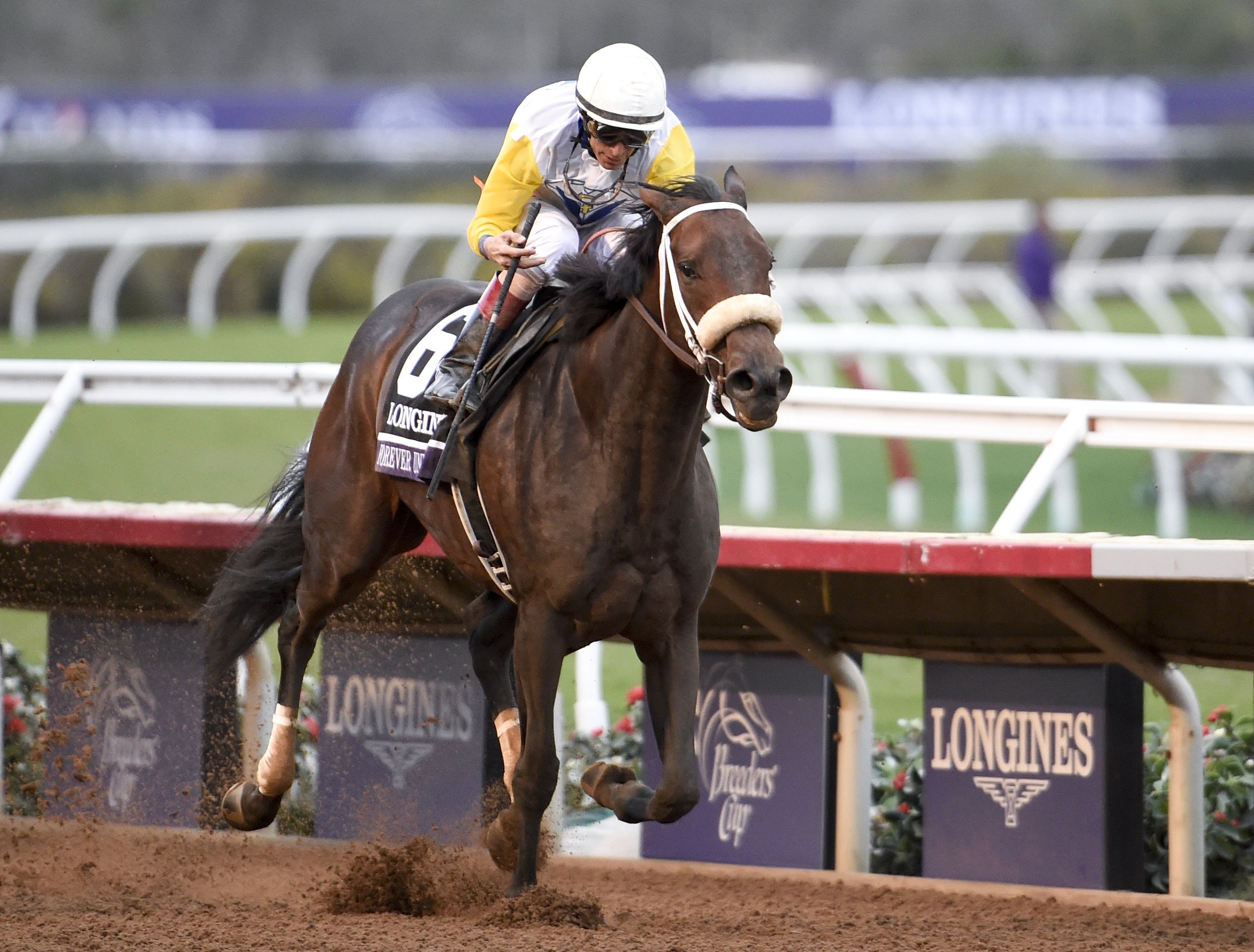 The Latest Forever Unbridled wins Breeders' Cup Distaff AP News