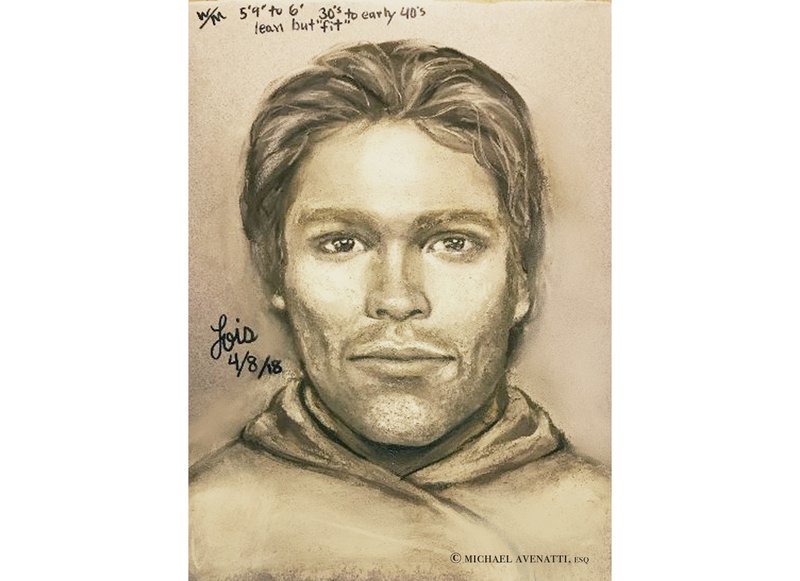 Sketch Porn - Stormy Daniels' big reveal: sketch of man who threatened her