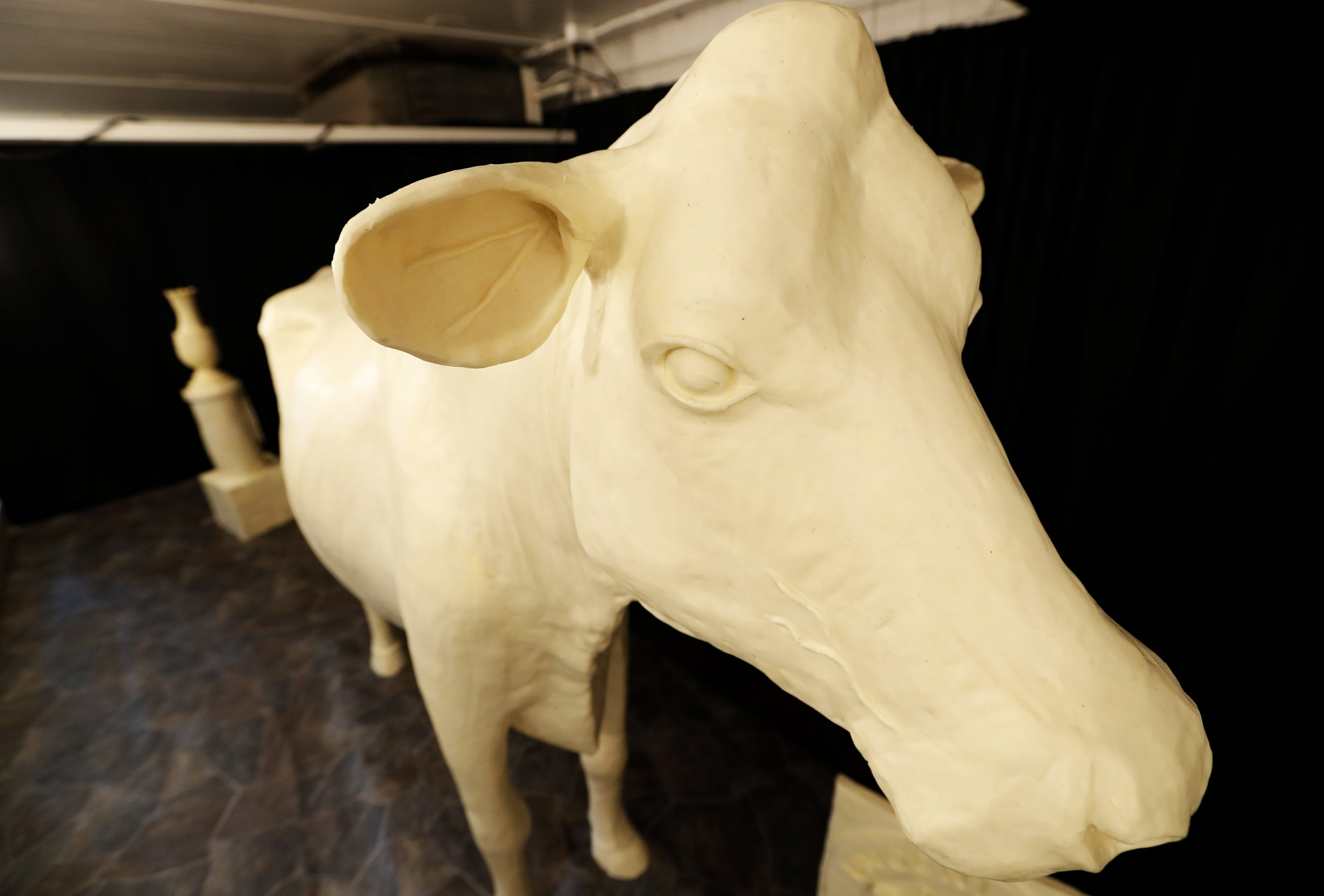 The Iowa State Fair is opening. Time to visit the Butter Cow AP News