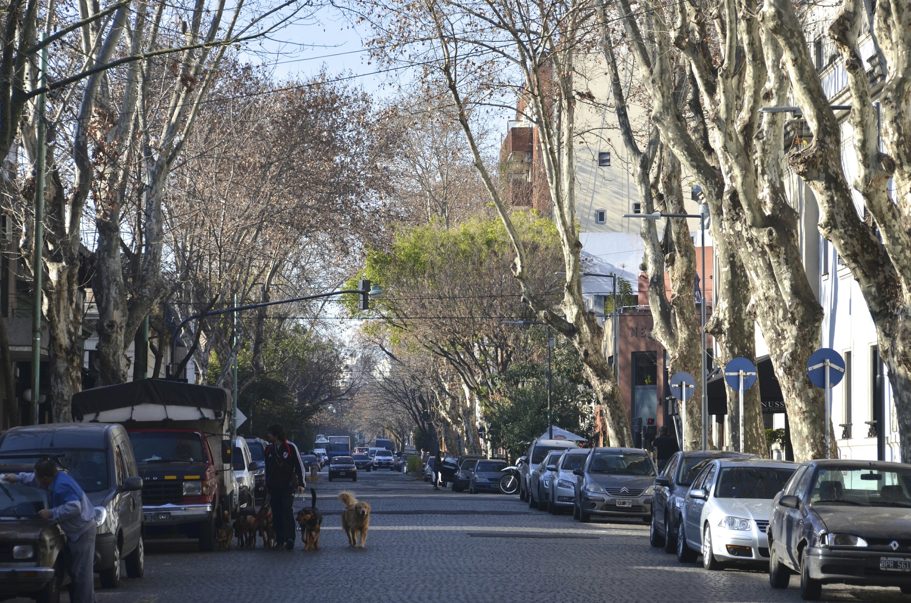 Buenos Aires Neighborhood Palermo Soho Shop Eat Drink