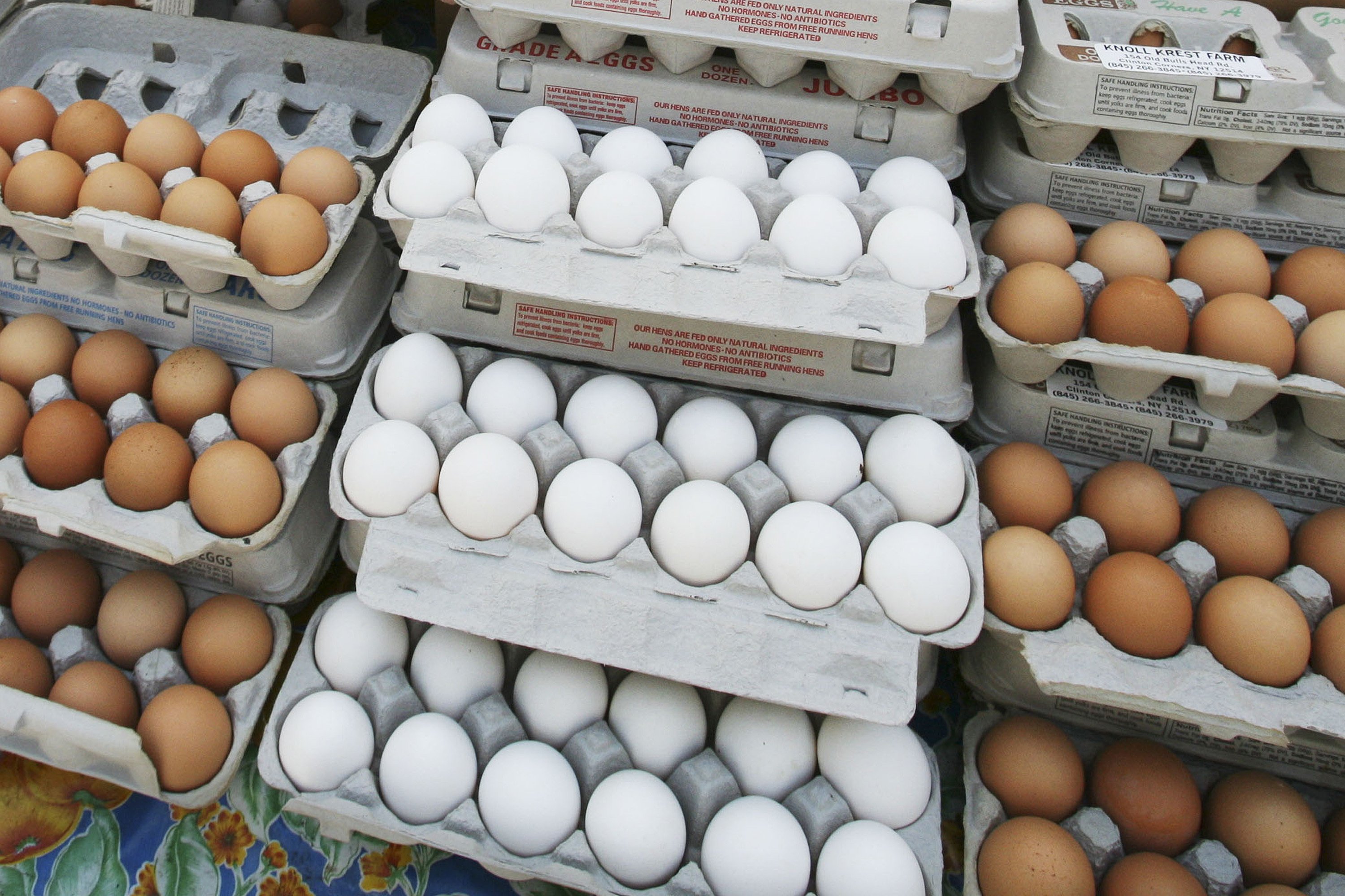 Are eggs good or bad for you? New research rekindles debate