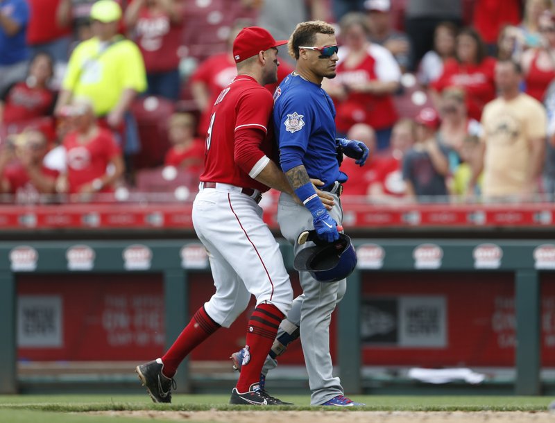Cubs Reds Involved In Brief Bench Clearing Incident