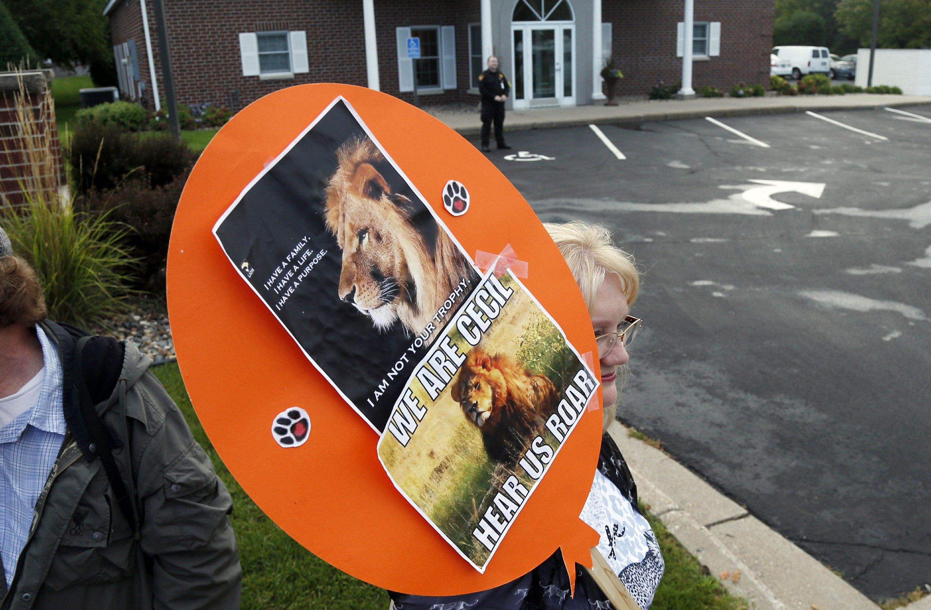 Plight of African lions persists 1 year after Cecil killing | AP News