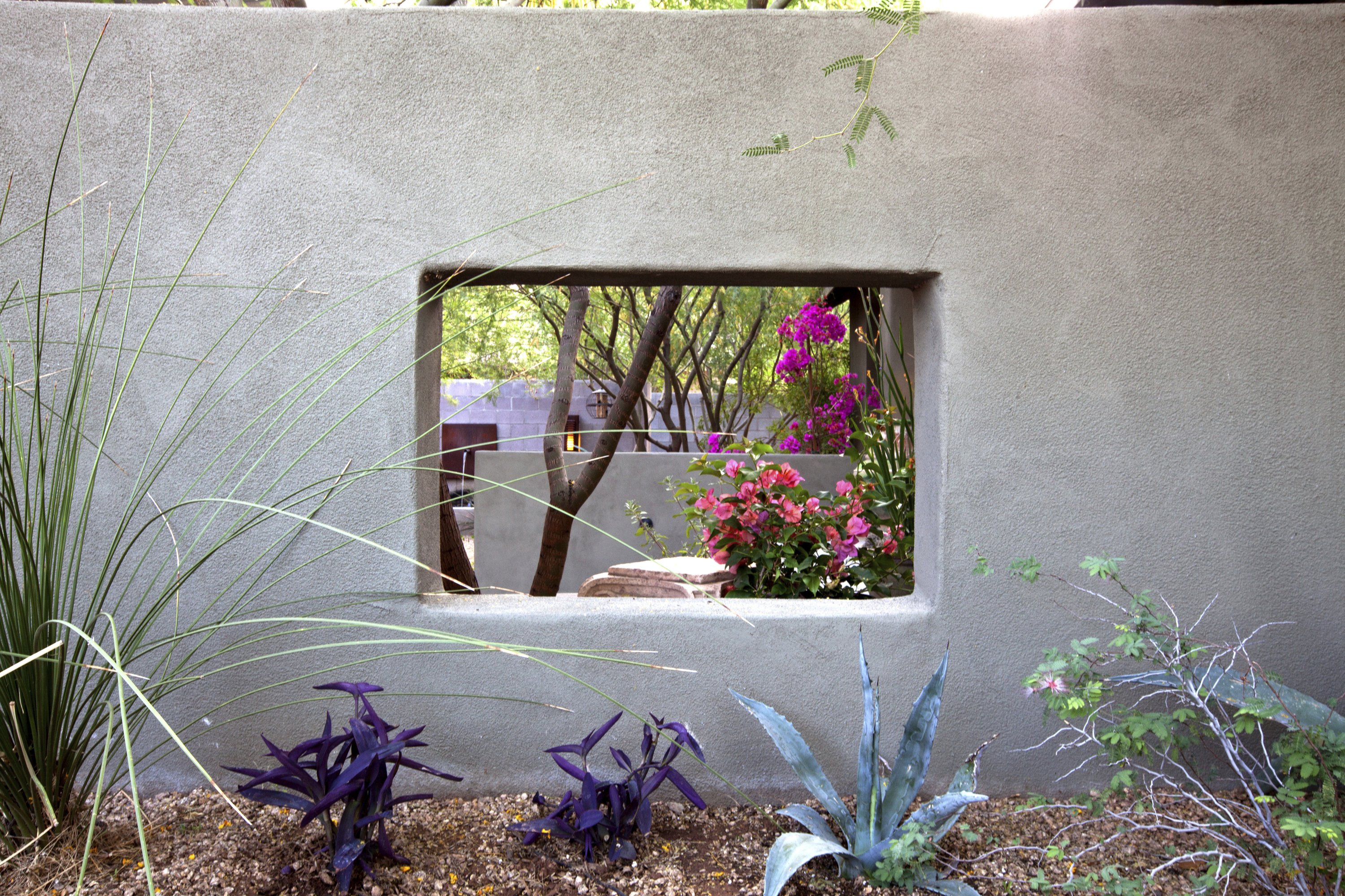 Gardening Phoenix Landscaper Brings Desert To Urban Yards