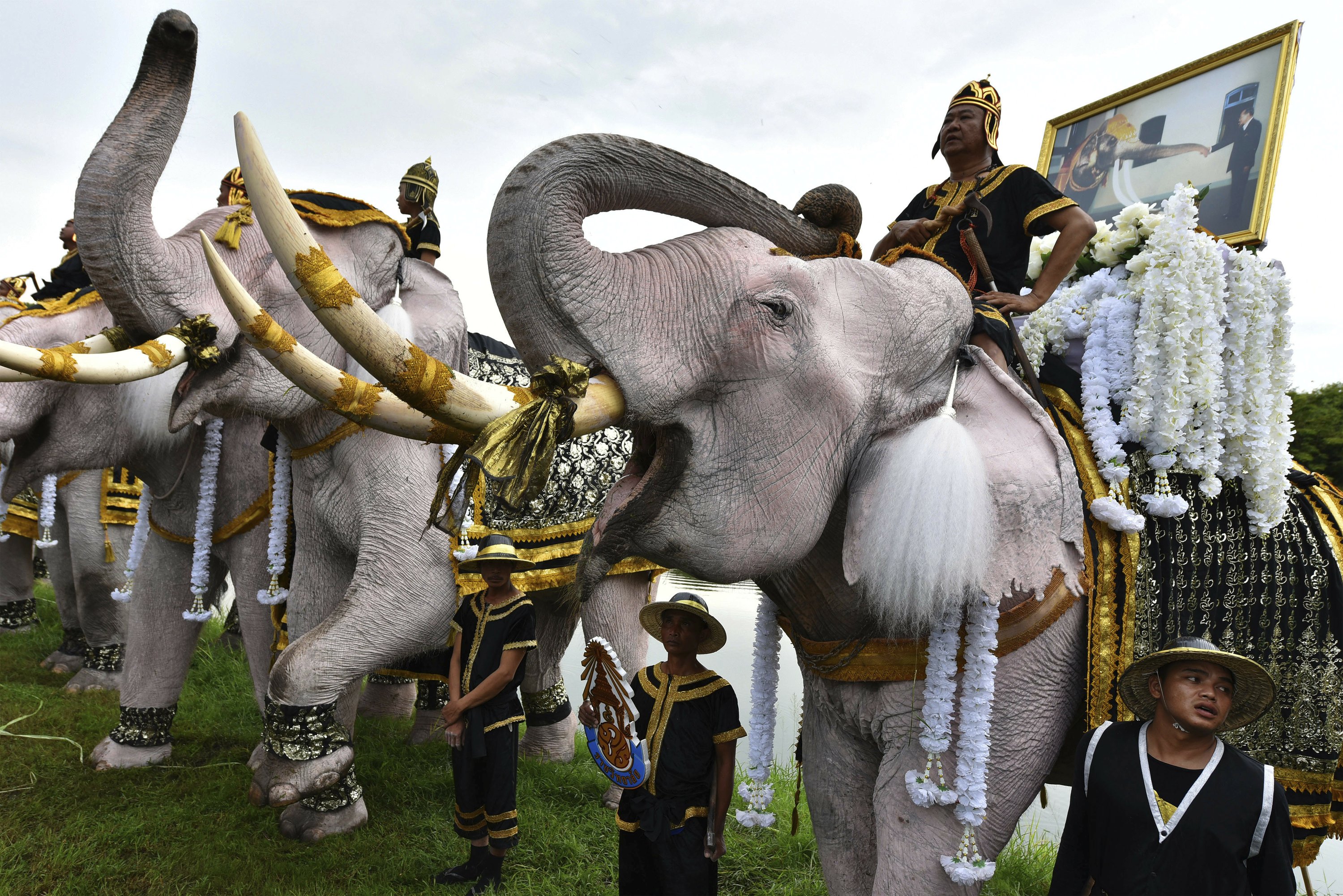 White elephants, mahouts pay respects to late Thai king