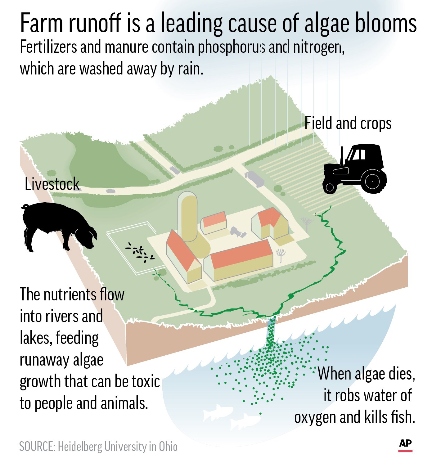 agricultural runoff diagram