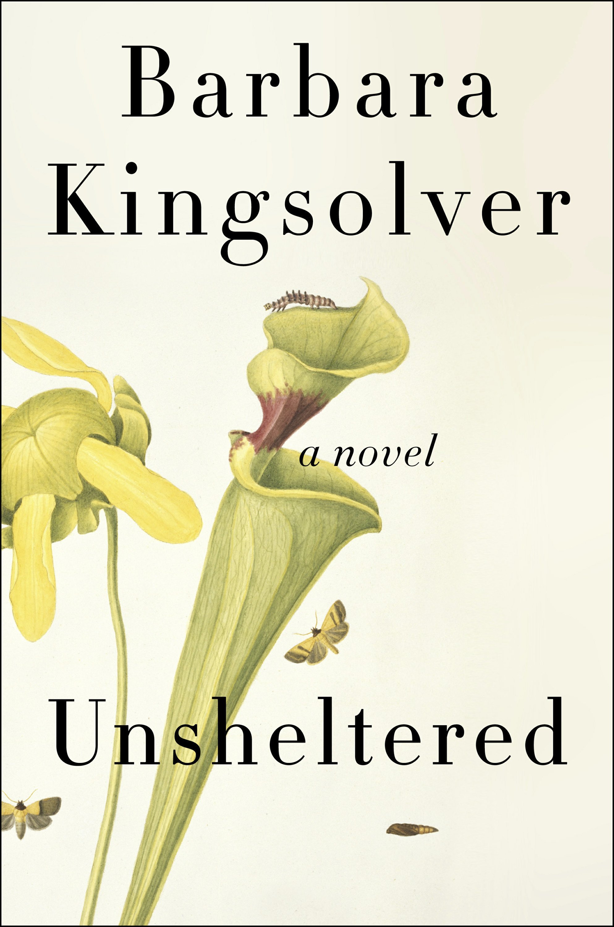 unsheltered by kingsolver