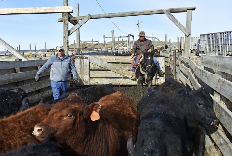 Unsettling Trend Thousands With Special >> Trump S Threats On Trade Unsettle Farming Ranching Backers Unsettling Trend Thousands With Special >> Trump S Threats On Trade Unsettle Farming Ranching Backers