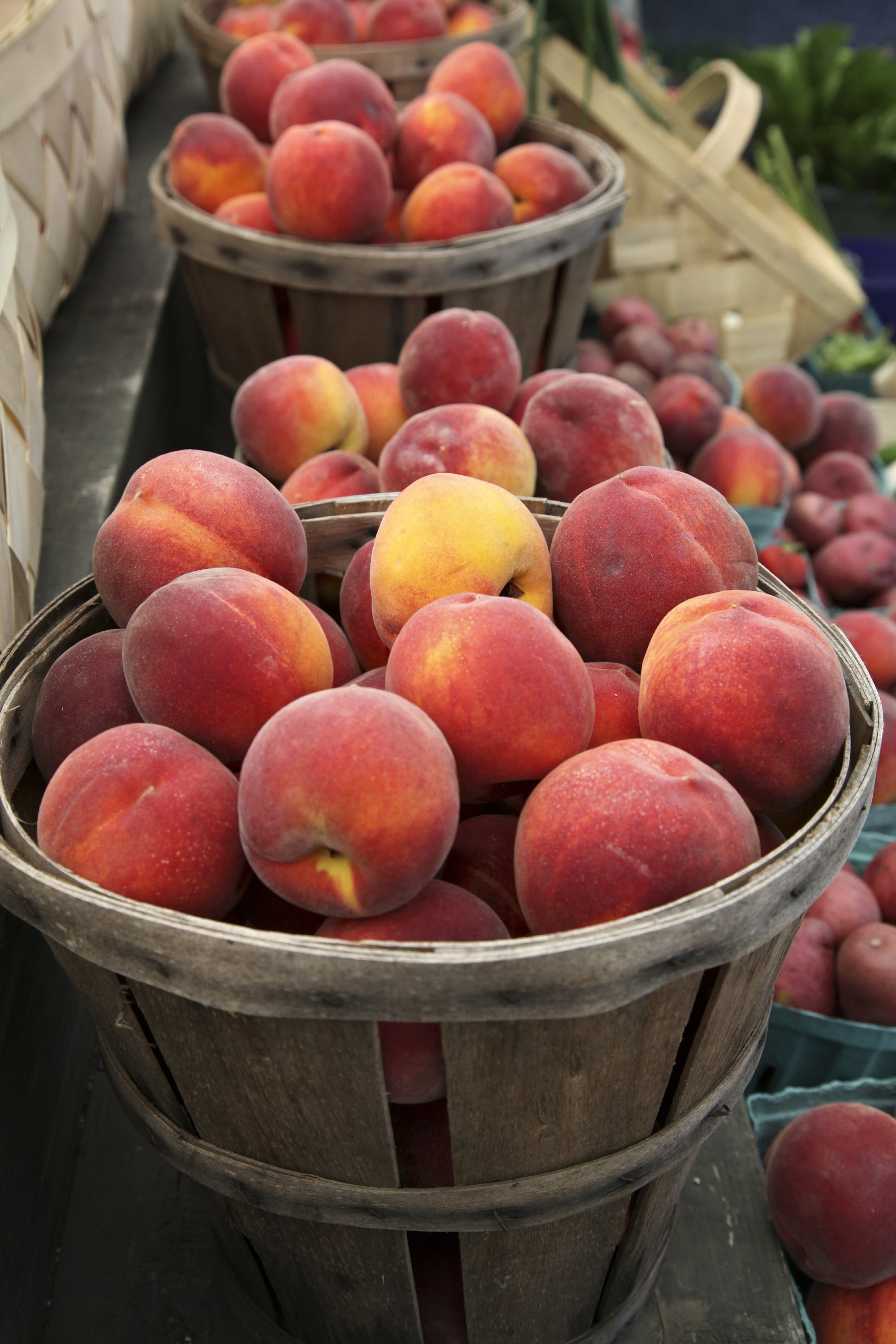 peach crop faces nearly 80 percent loss this year AP News