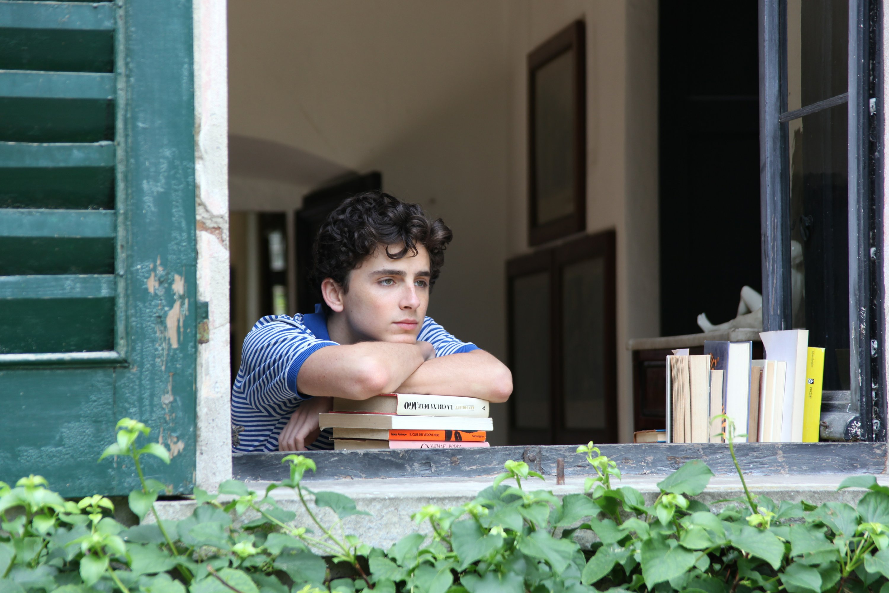 Review A Lovely Delicate Romance In Call Me By Your Name