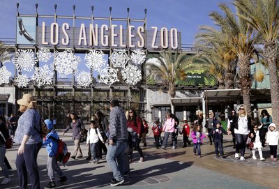 Where To Buy Fake Ids In Los Angeles