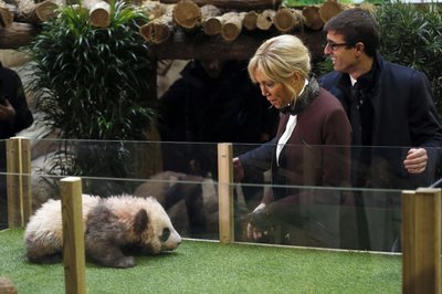 1st Panda Born In France Gets Name From China First Lady