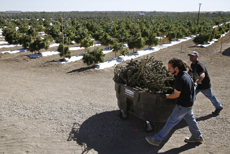 Opponents say barring pot use in Denver businesses unwise