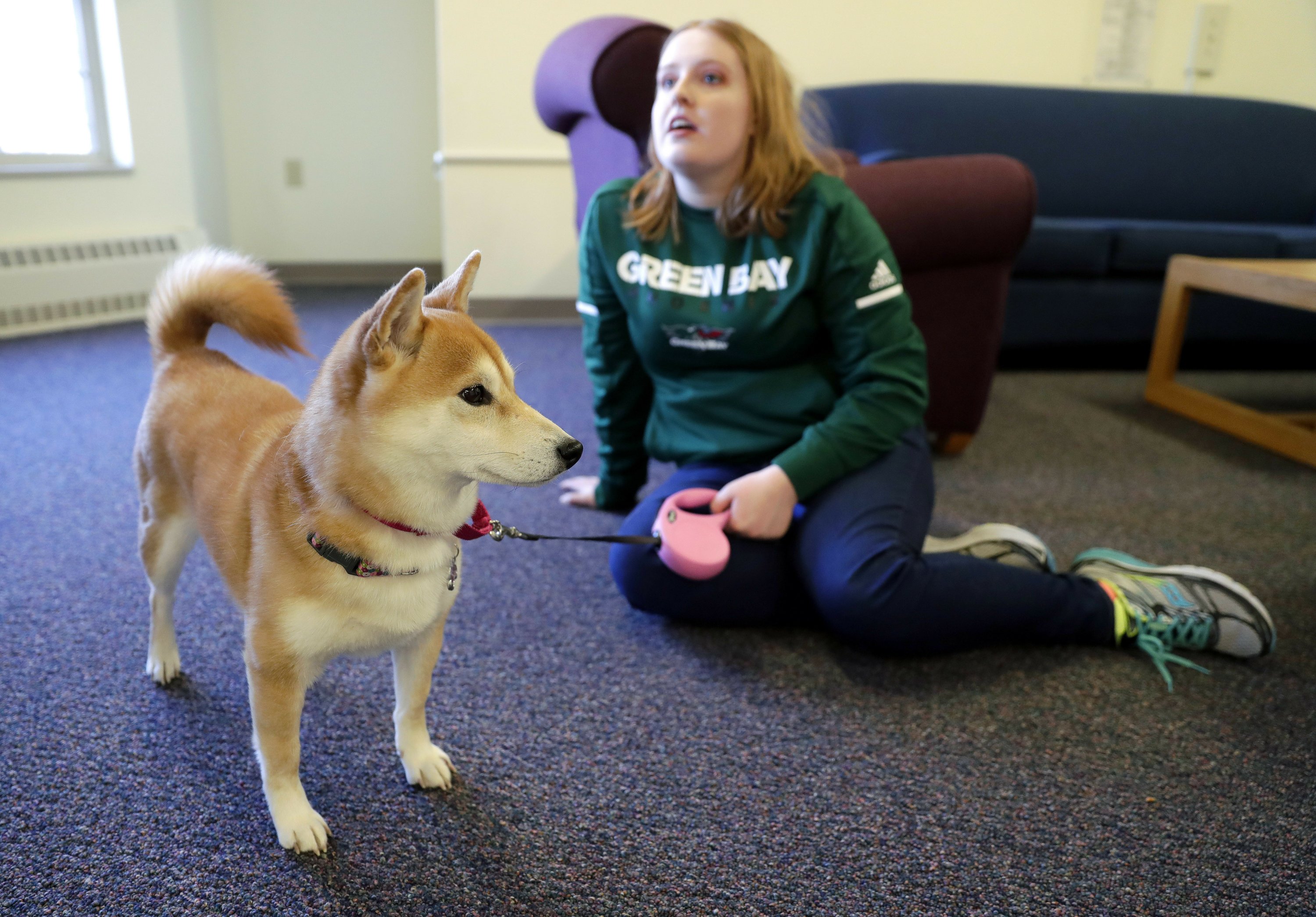 Can Emotional Support Dogs Live In College Dorms