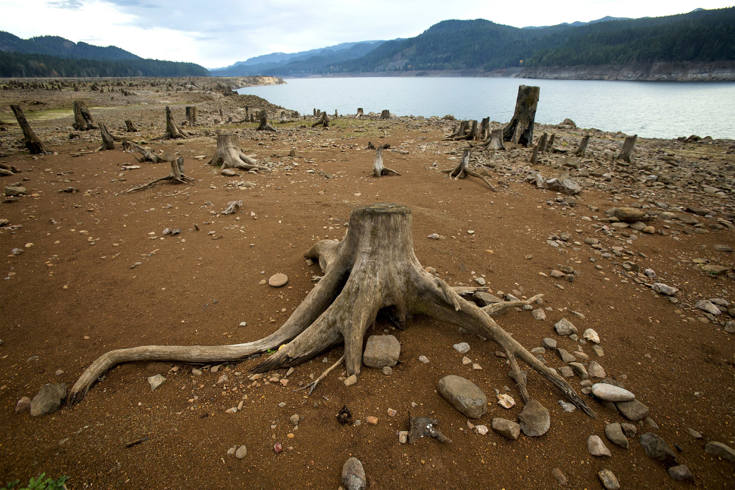 Reservoirs near EugeneSpringfield area unusually low AP News